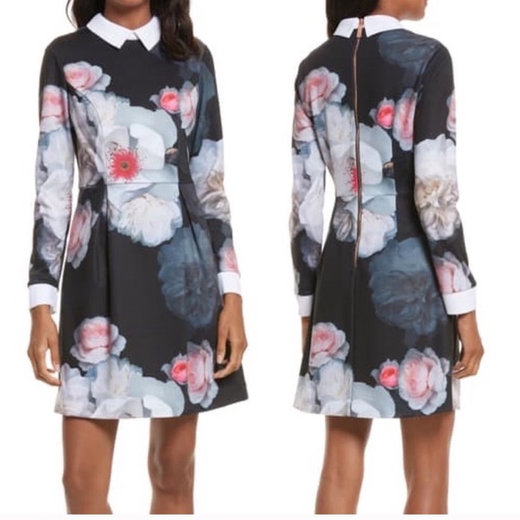 ted baker kaleesa dress